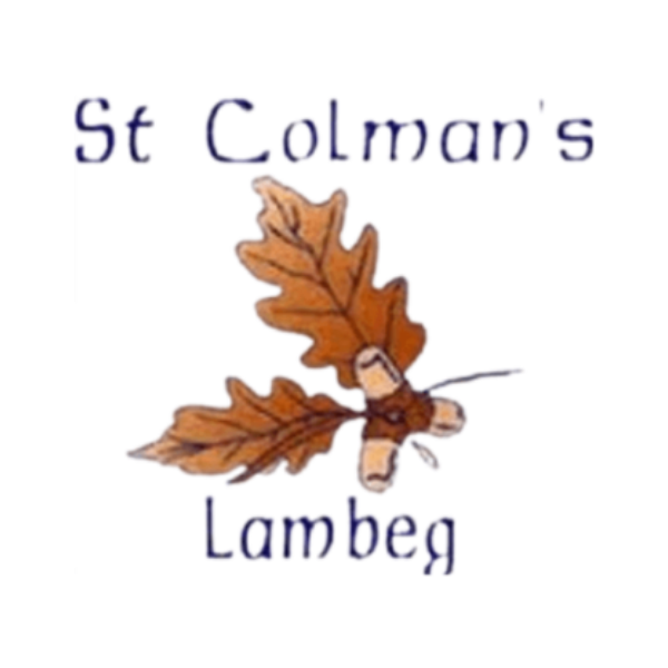 St Colman's Primary School Lambeg 2023